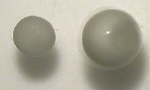 写真3 シロアゴガエルの卵（左）とオキナワアオガエルの卵（右）