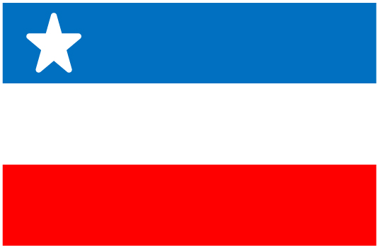 沖縄の旗を巡る | 学芸員コラム | 沖縄県立博物館・美術館（おきみゅー）