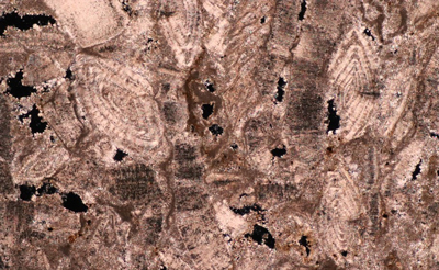 琉球石灰岩クロスニコル