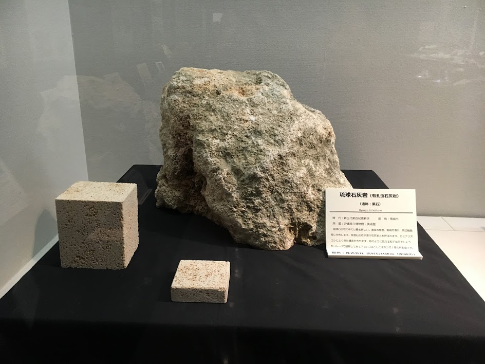 琉球石灰岩（粟石：有孔虫石灰岩）