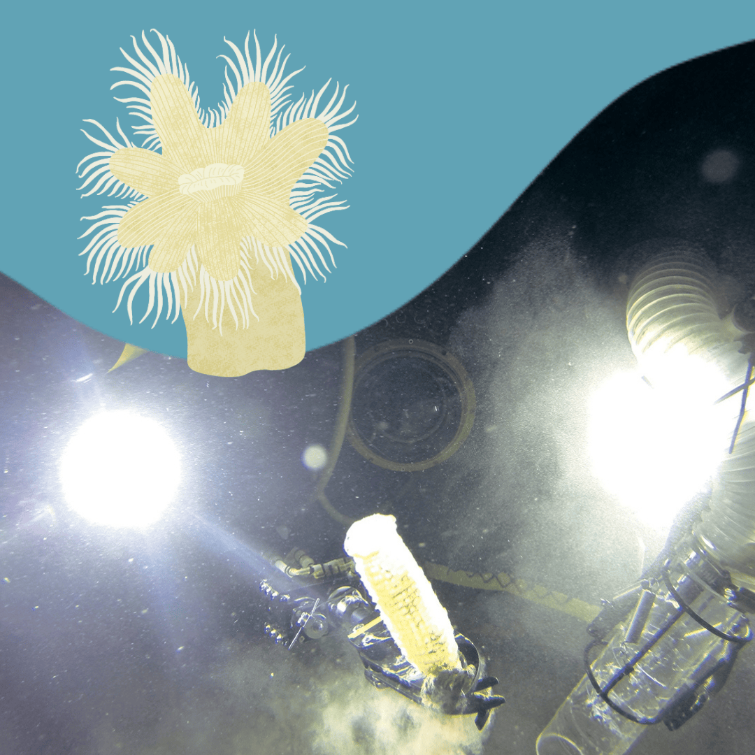 美ら海トワイライトゾーン 知られざる深海生物のワンダーランド　出版記念講演会