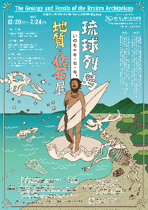 琉球列島 地質・化石展