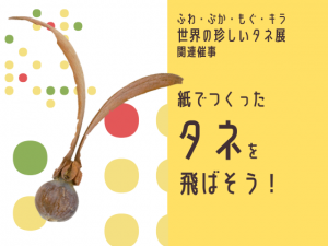 【世界の珍しいタネ展 関連催事】紙でつくったタネを飛ばそう！