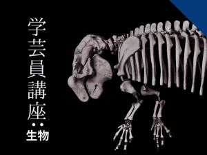博物館学芸員講座「『いのちのカタチ展-好奇心の標本箱-』　見どころ紹介」