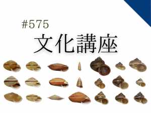 博物館文化講座「島嶼で調べる生物進化と生物多様性の保全：陸産貝類の例」 　