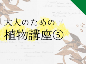 大人のための植物講座 5 「標本ラベルに込められた情報を読み解く」