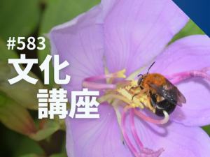博物館文化講座「花に隠された仕掛け 身近な植物の送粉作戦」