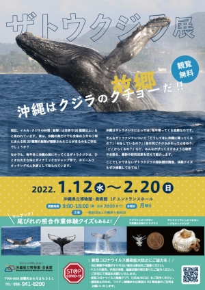 ザトウクジラ展