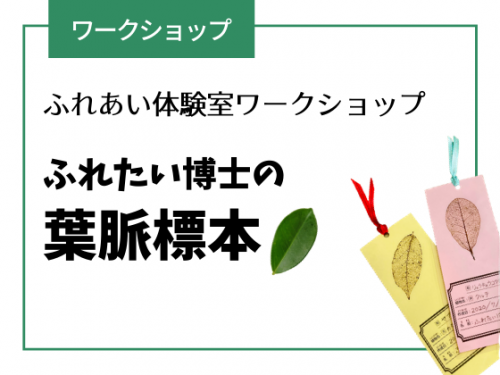 イベント 沖縄県立博物館 美術館 おきみゅー