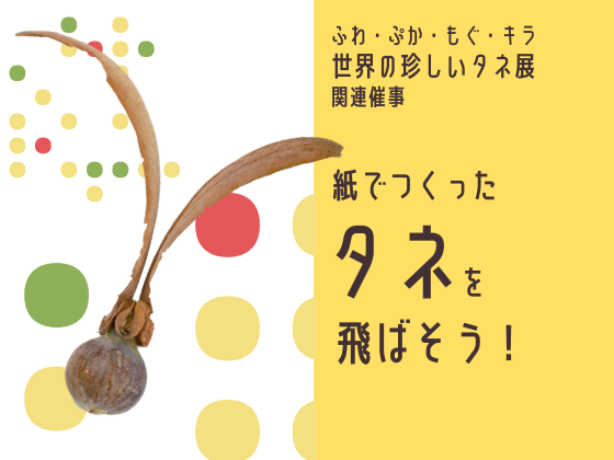 【世界の珍しいタネ展 関連催事】紙でつくったタネを飛ばそう！