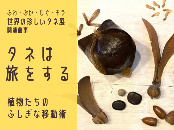 【世界の珍しいタネ展 関連催事】タネは旅をする ―植物たちのふしぎな移動術