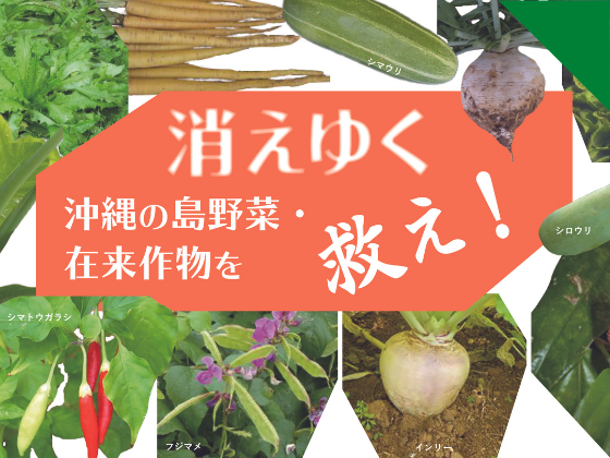 大人のための島野菜・伝統野菜講座「消えゆく沖縄の島野菜・在来作物を救え！」
