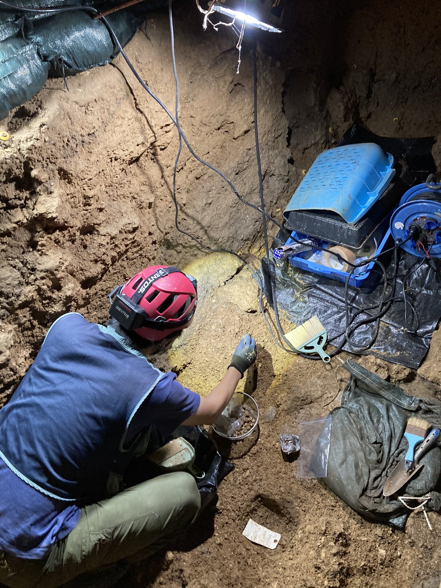 サキタリ洞発掘調査