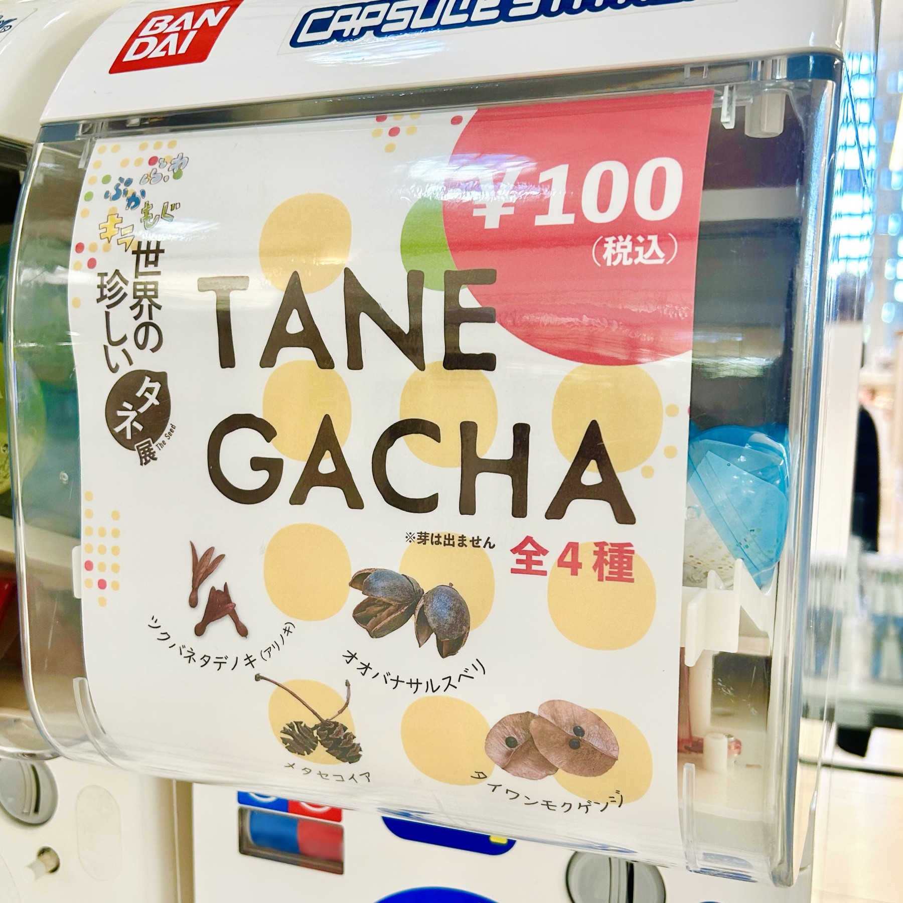 タネガチャ