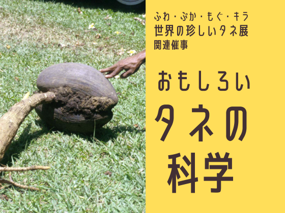 【世界の珍しいタネ展 関連催事】おもしろいタネの科学