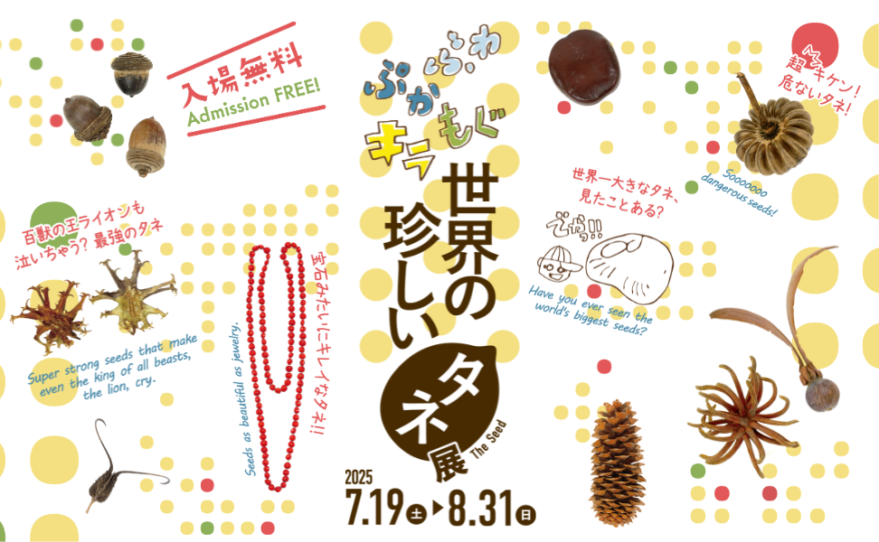 ふわ・ぷか・もぐ・キラ　世界の珍しいタネ展