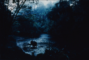 管洋志《タイ》1988年の写真