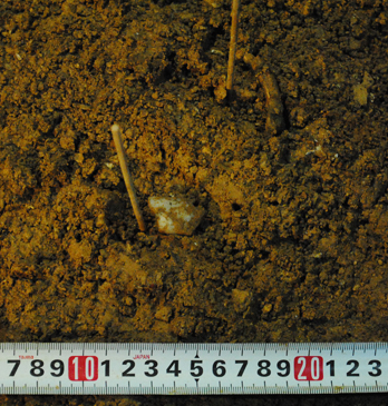図１石英製石器の出土状況(中央)