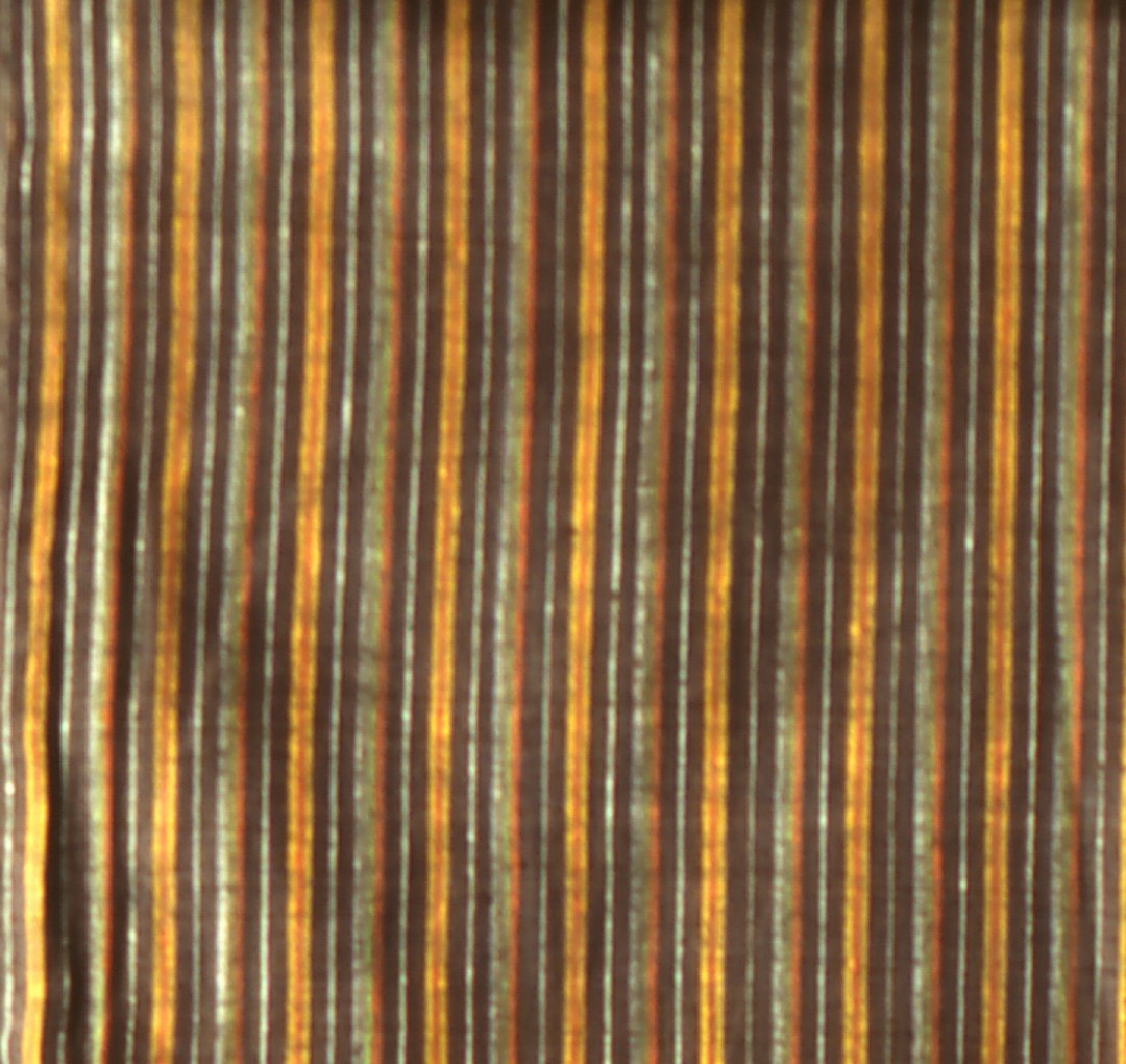 写真３　茶色地の久米島紬（経縞模様）