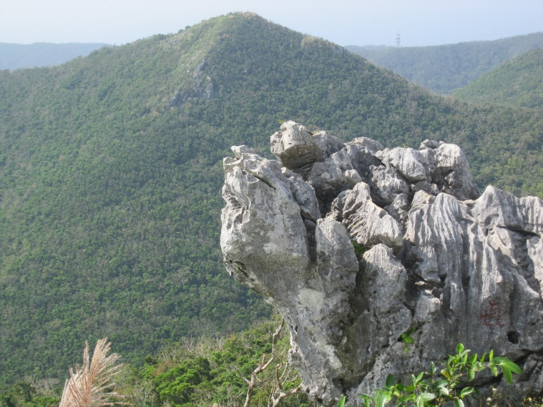 写真２　嘉津宇岳頂上の尖った石灰岩