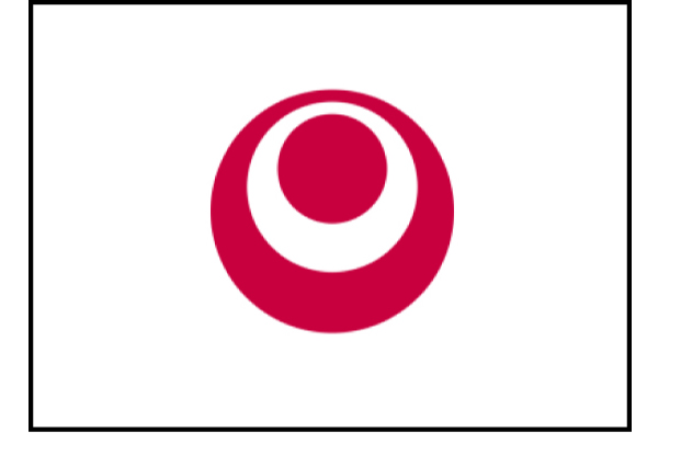 図１  沖縄県旗