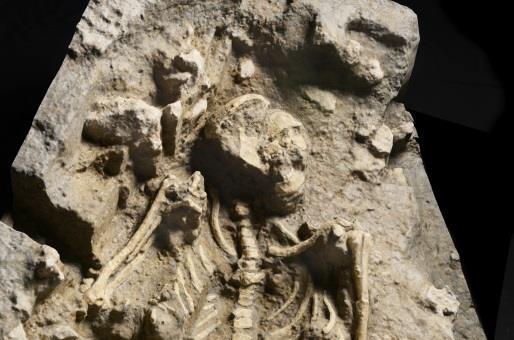2015年にサキタリ洞遺跡で発見された9000年前以前の人骨出土状況の精密な模型