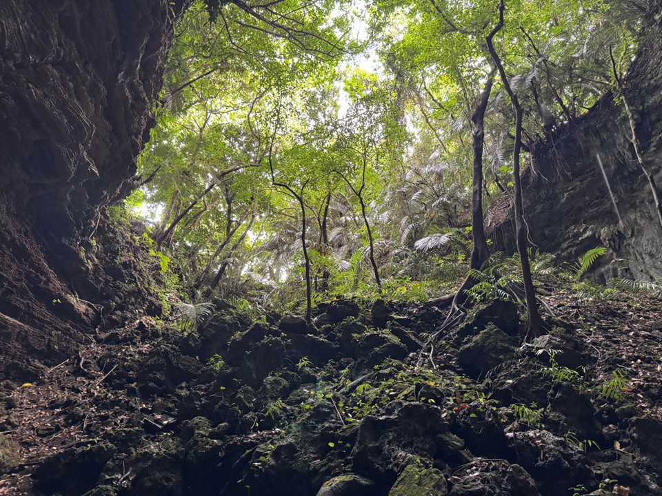 竪穴(1カ所目)の内部の様子。