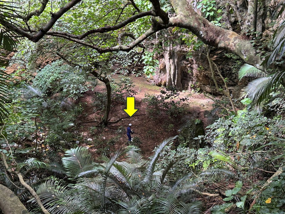 写真中央に人がいます