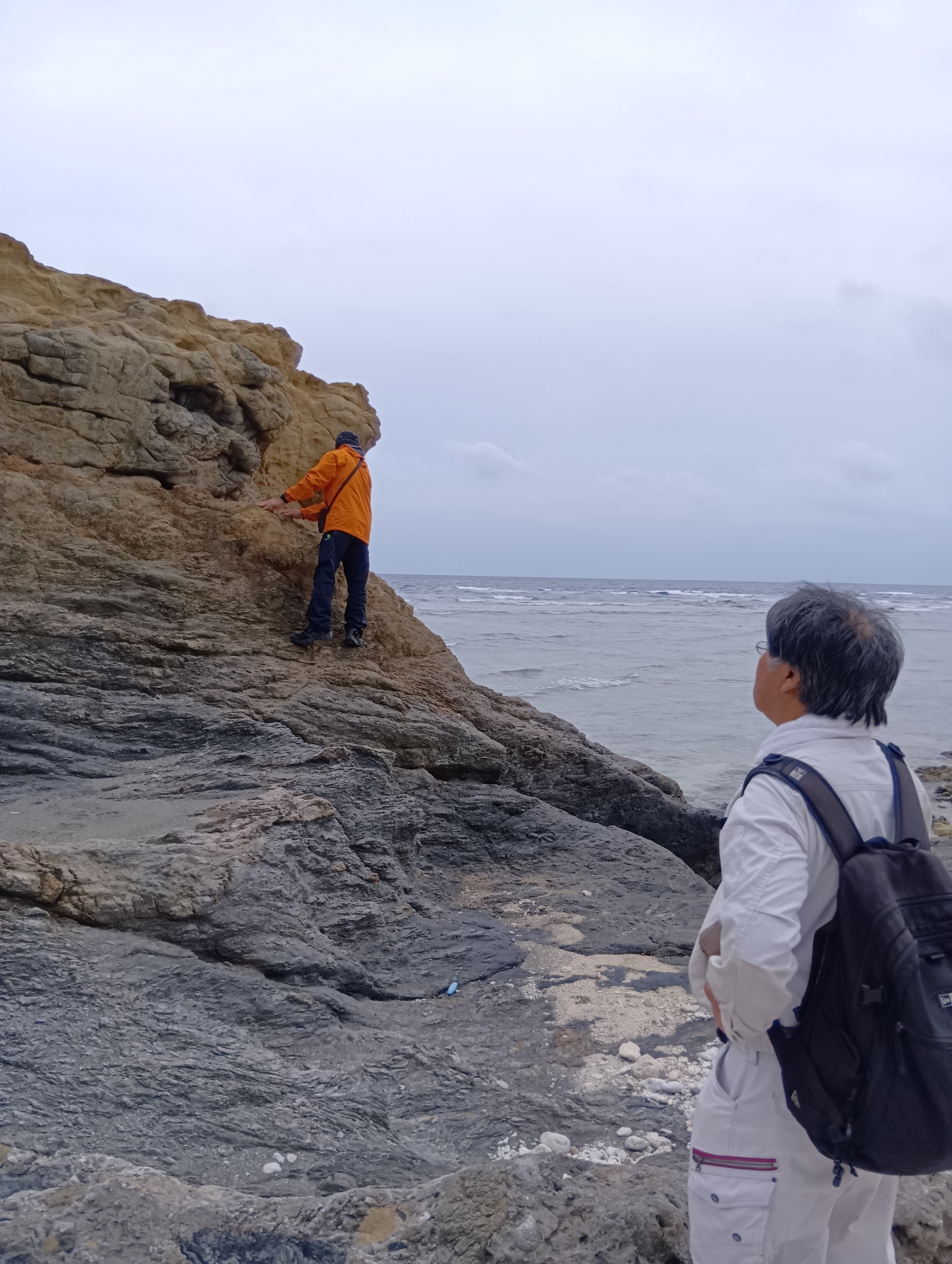 前島の地質（千枚岩を主体に砂岩が挟まる）