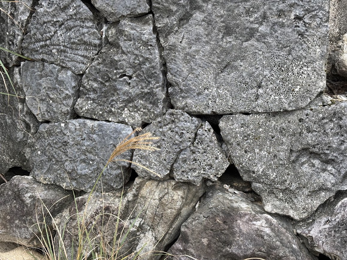 前島の集落内の石積み（お墓）
