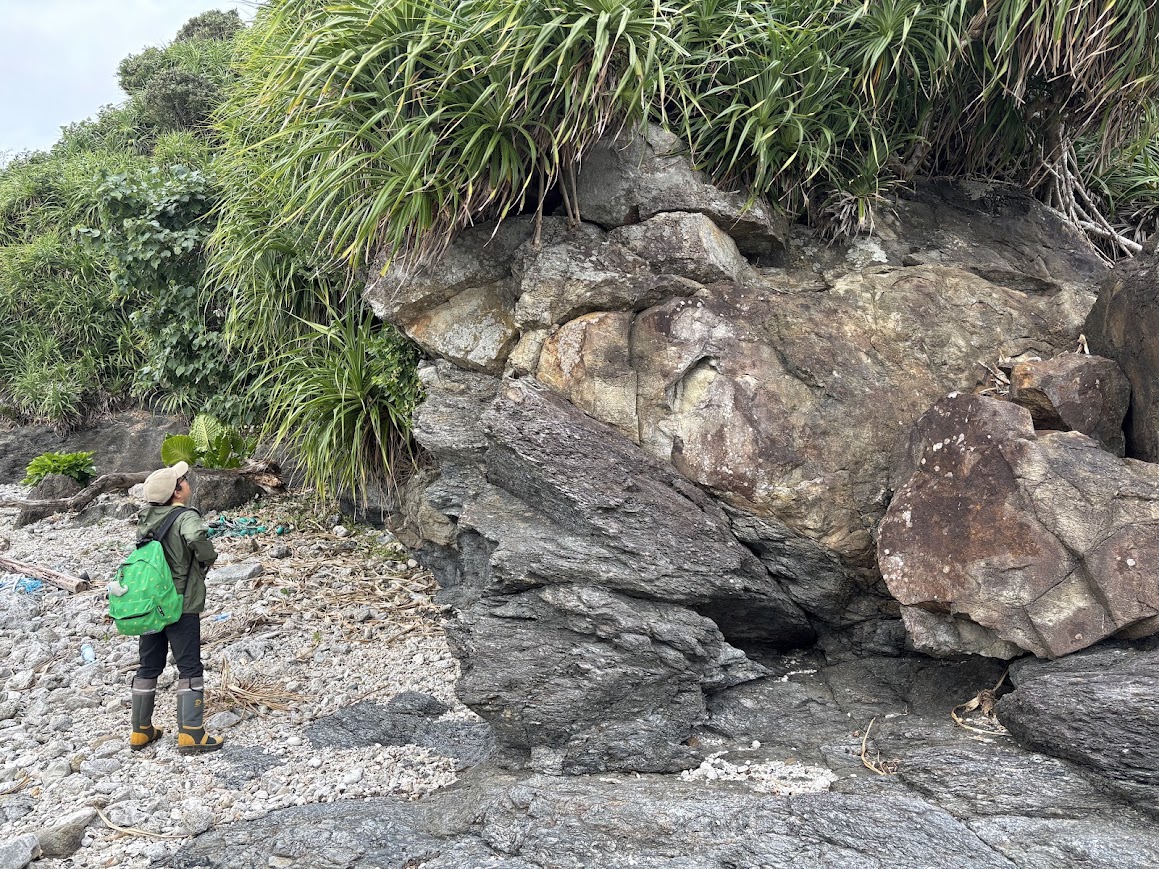 前島の地質（千枚岩を主体に砂岩が挟まる）