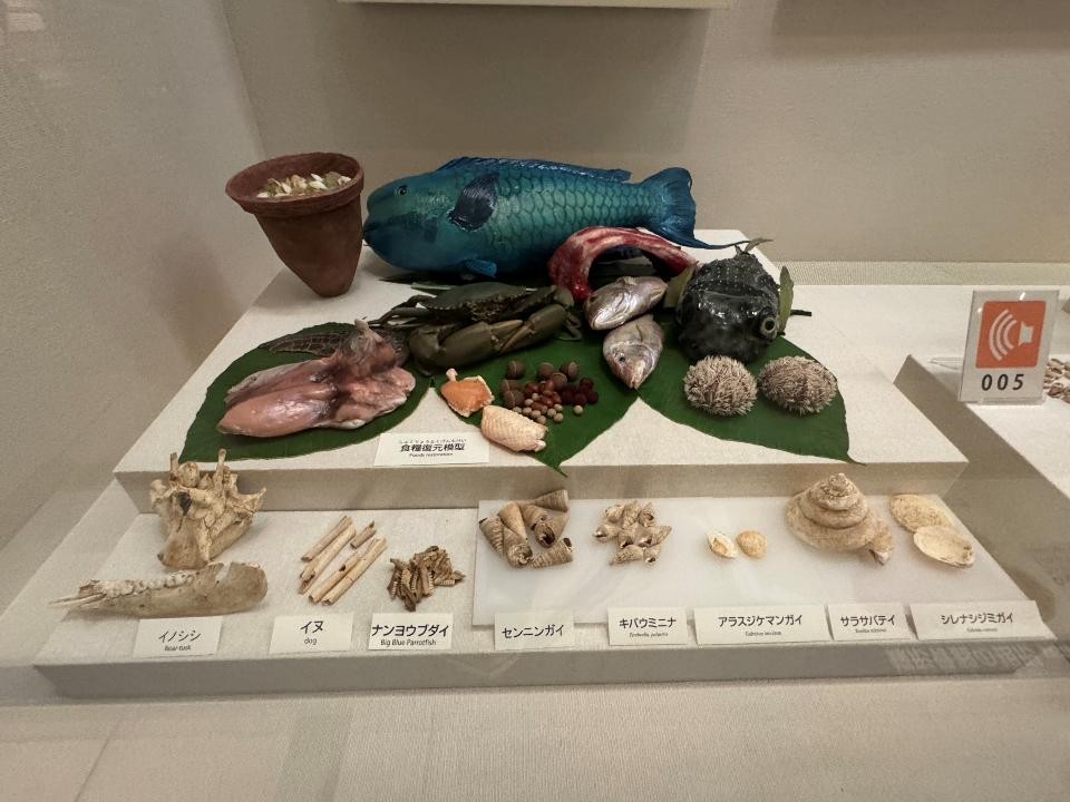 貝塚時代のたべもの