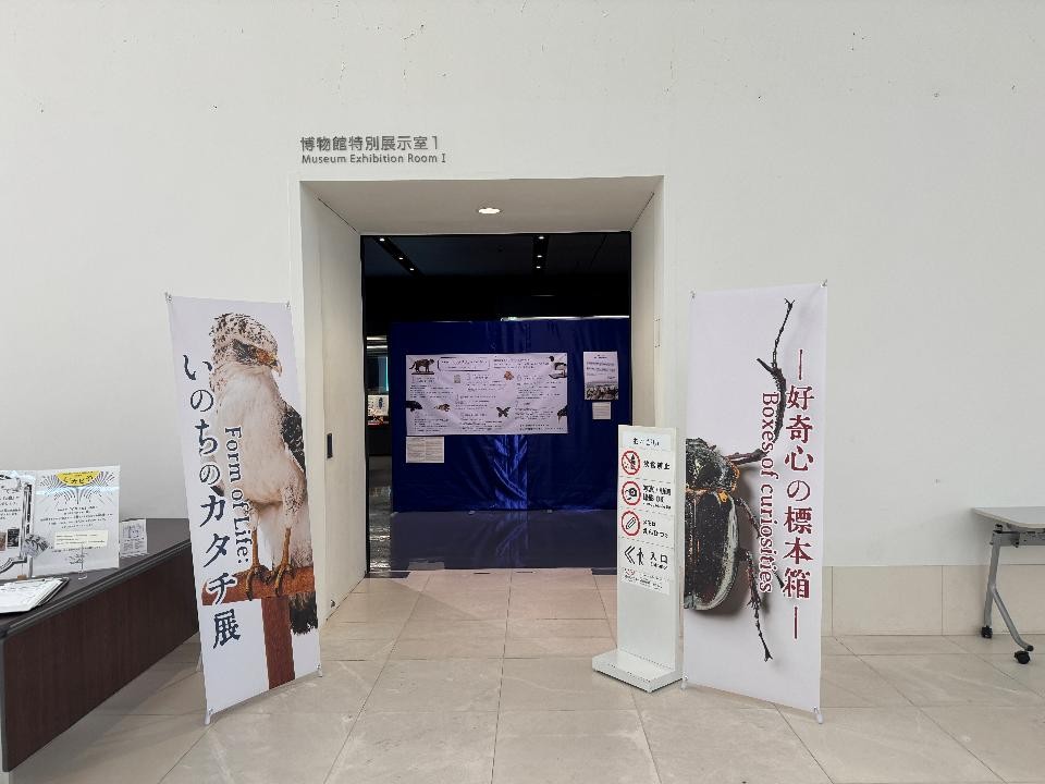 企画展「いのちのカタチ展―好奇心の標本箱―」