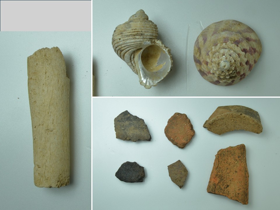 ンニマガー採集品