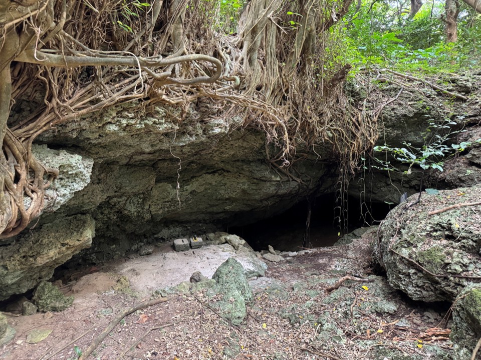 シュガーガーの開口部