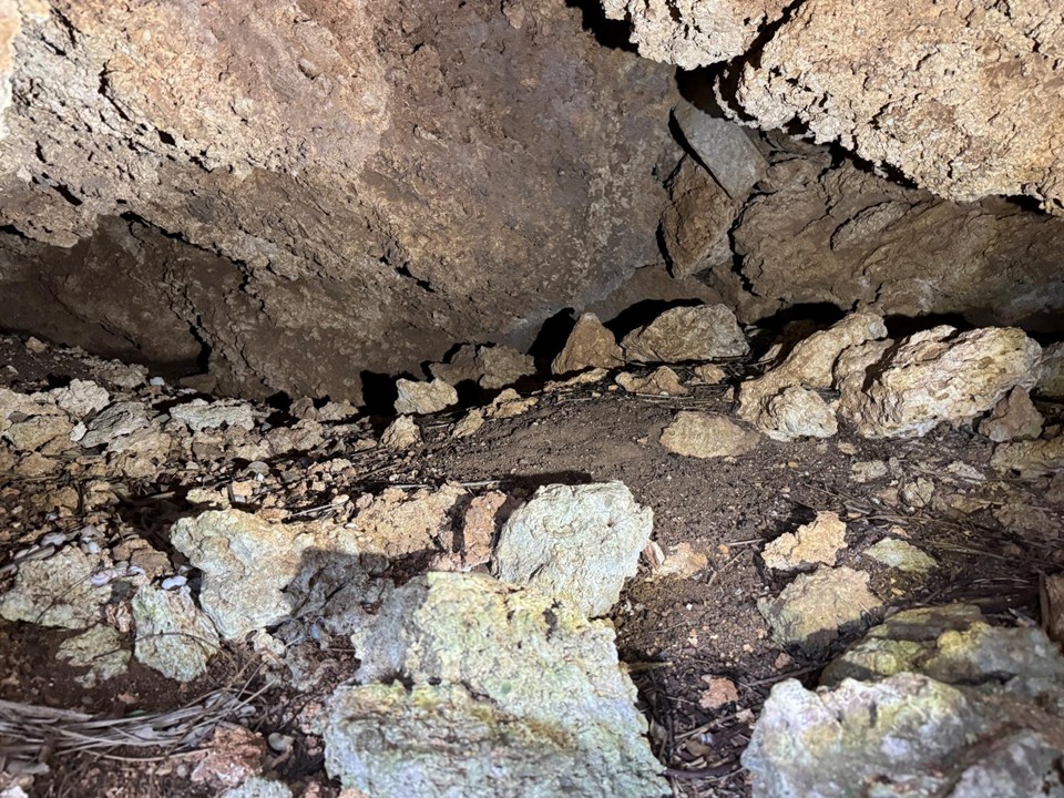 穴の中は土砂で埋まっていました