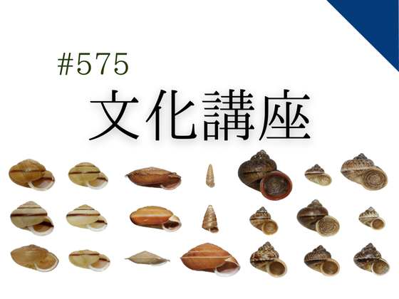 博物館文化講座「島嶼で調べる生物進化と生物多様性の保全：陸産貝類の例」 　