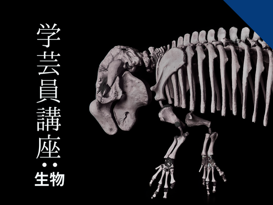 博物館学芸員講座「『いのちのカタチ展-好奇心の標本箱-』　見どころ紹介」