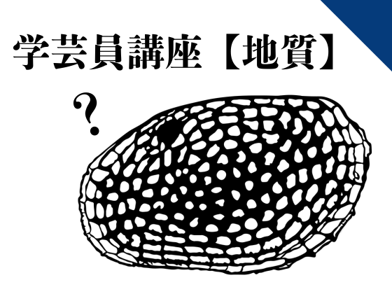 博物館学芸員講座　「みんなの知らないカイケイチュウの世界」