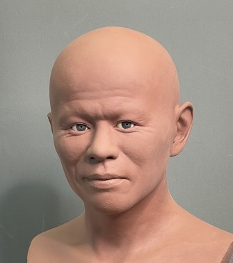 武芸洞人の頭骨から復顔した模型（制作途中）