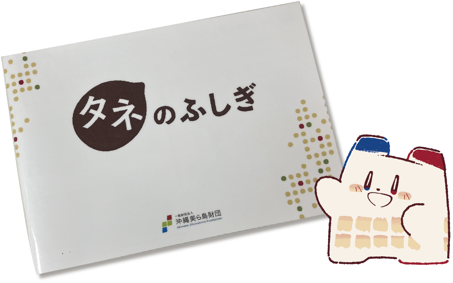 タネのふしぎ ワークブック（税込450円）