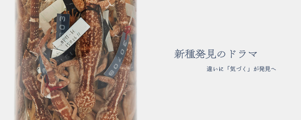 新種発見のドラマー違いに「気づく」が発見へ