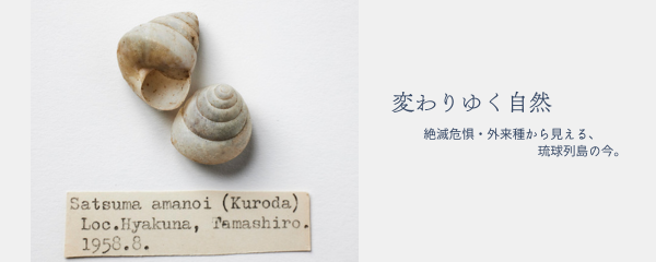 変わりゆく自然ー絶滅危惧・外来種から見える、琉球列島の今。