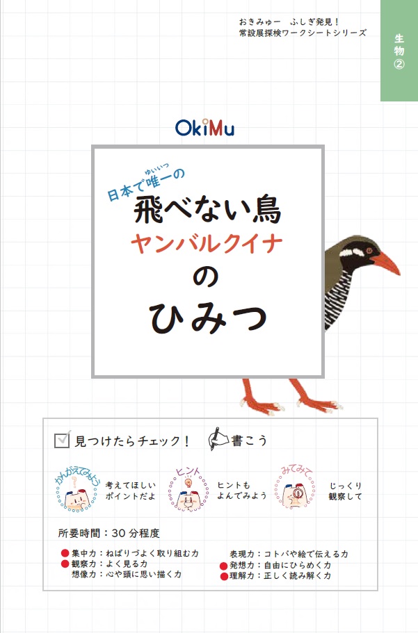 日本で唯一 飛べない鳥ヤンバルクイナのひみつ